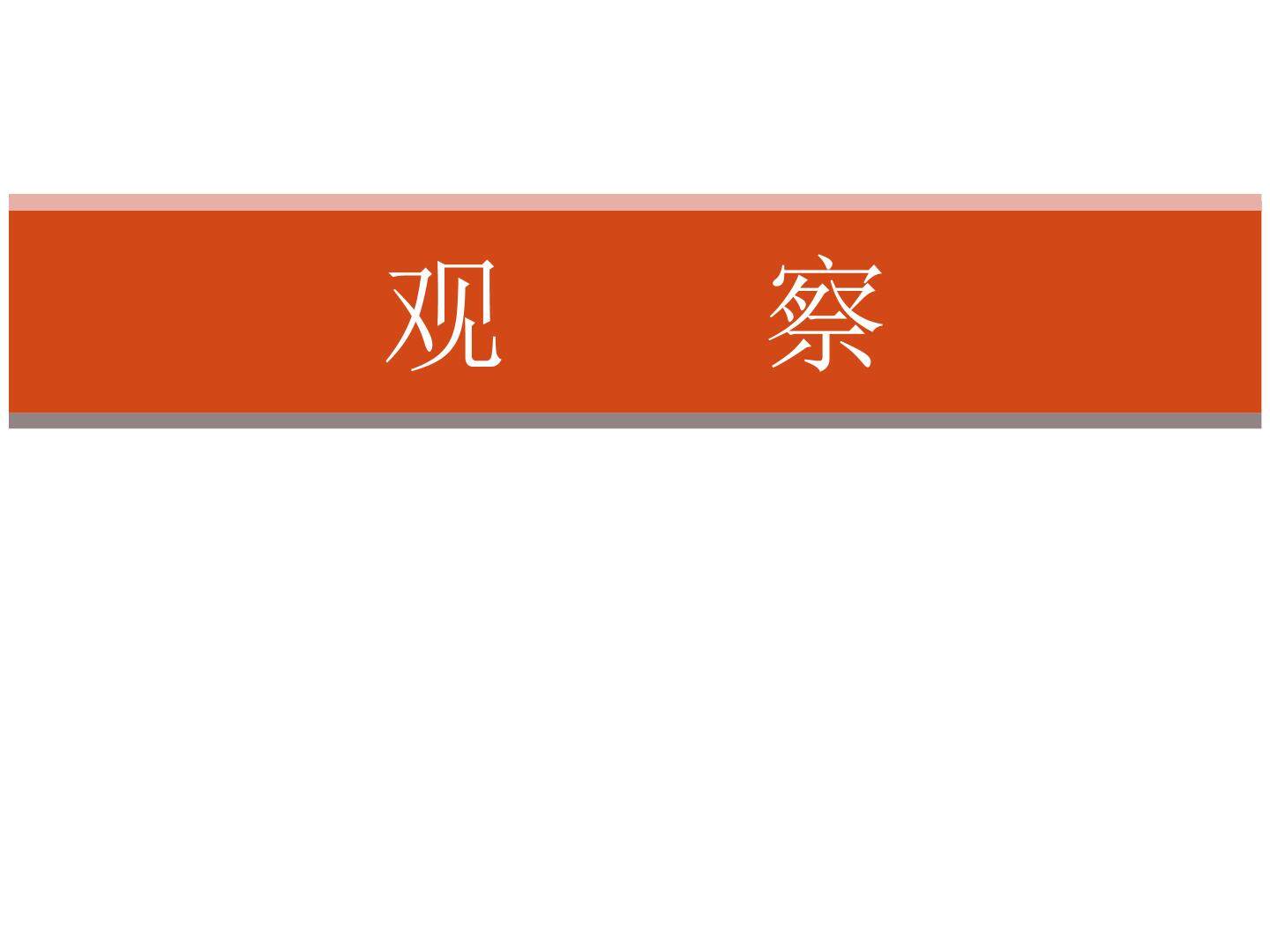 观察_课件1