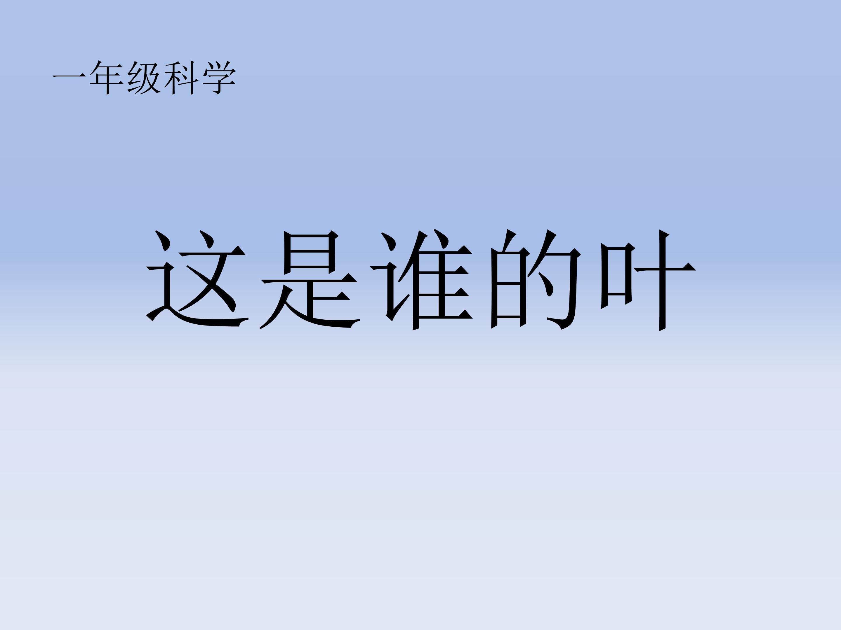 这是谁的叶？