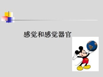 感觉和感觉器官_课件2