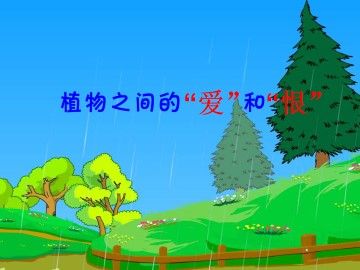 植物之间的“爱”和“恨”_课件1