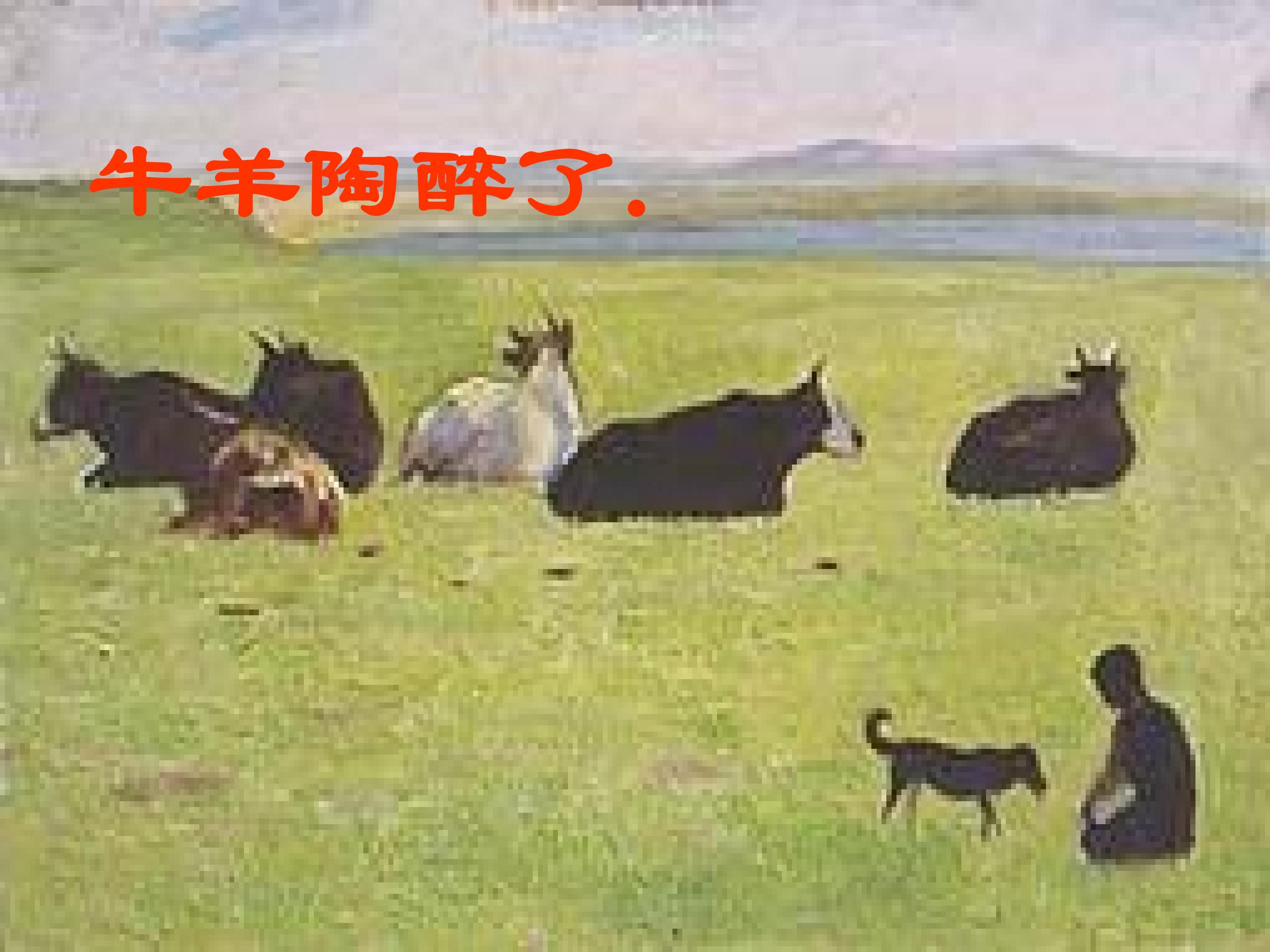 29.jpg