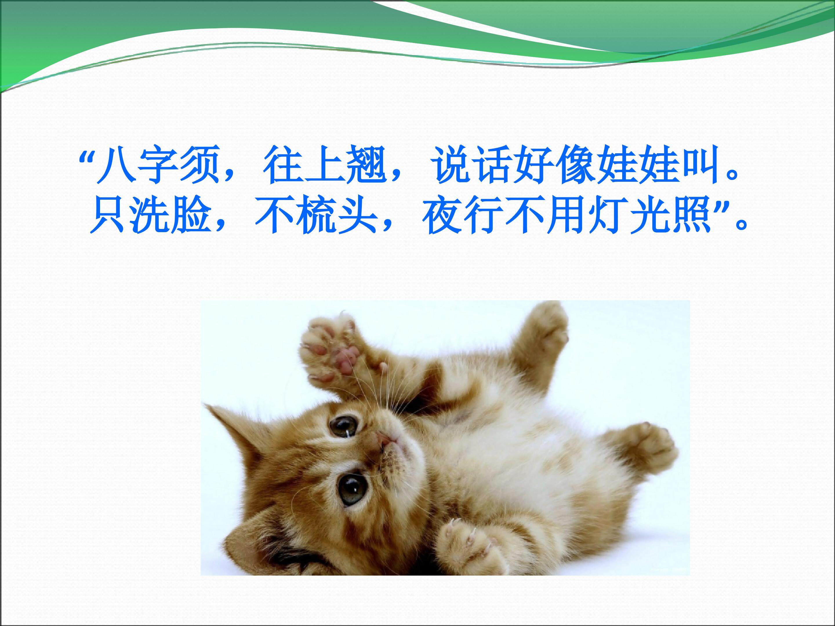 小猫咪穿鞋子