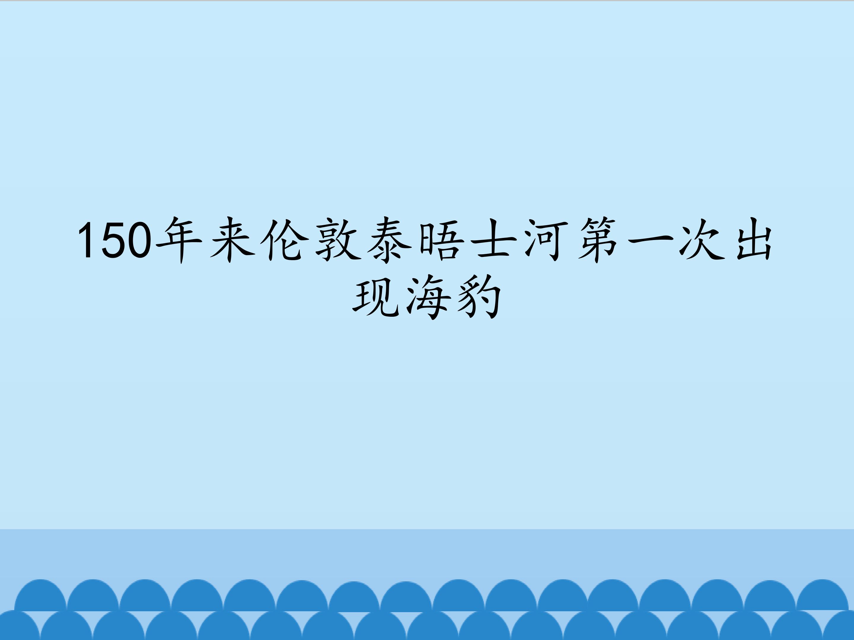 150年来伦敦泰晤士河第一次出现海豹