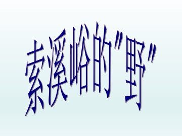 索溪峪的“野”_课件1