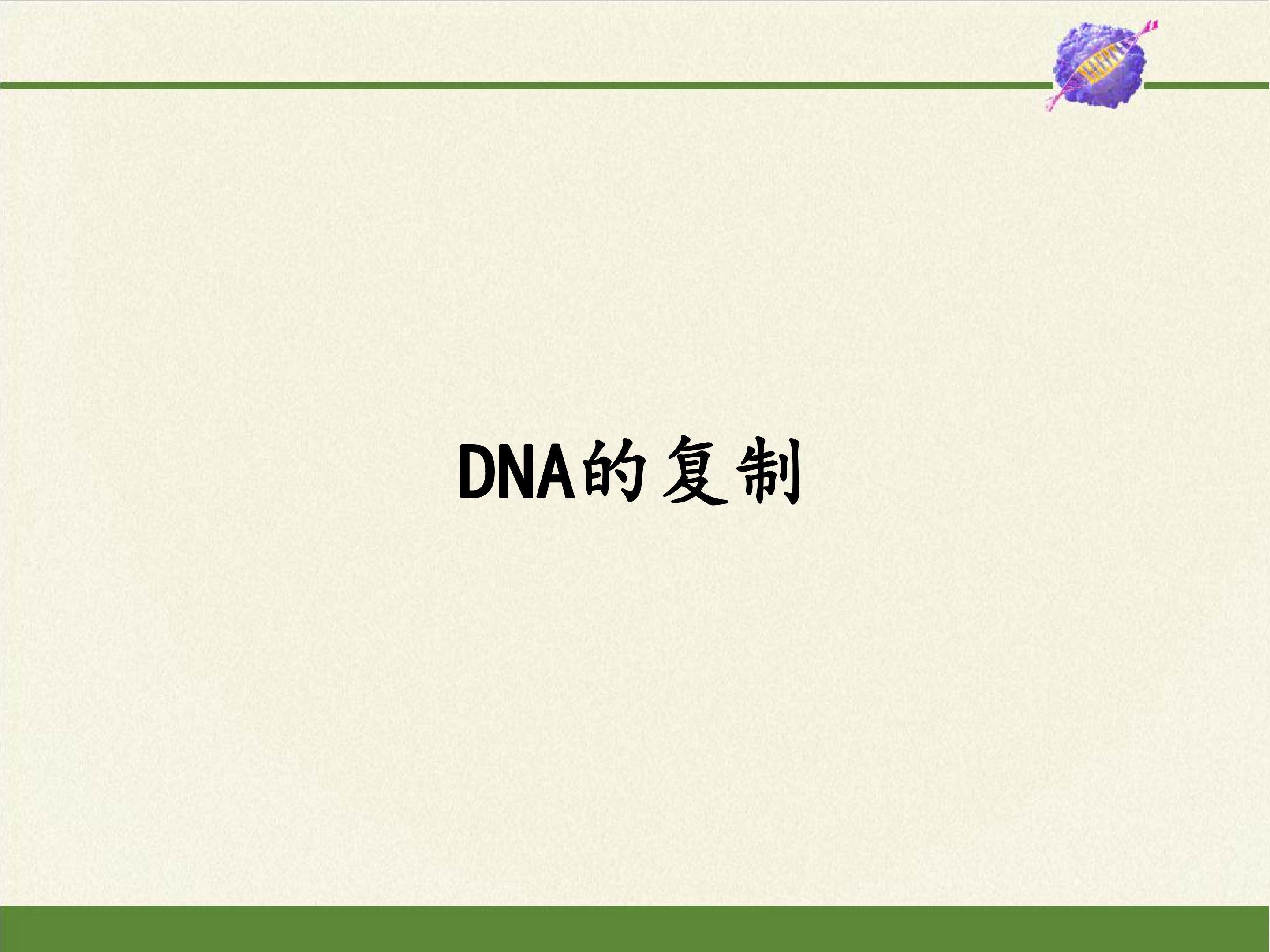 DNA的复制