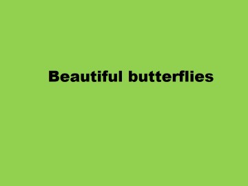 Beautiful butterflies_课件1
