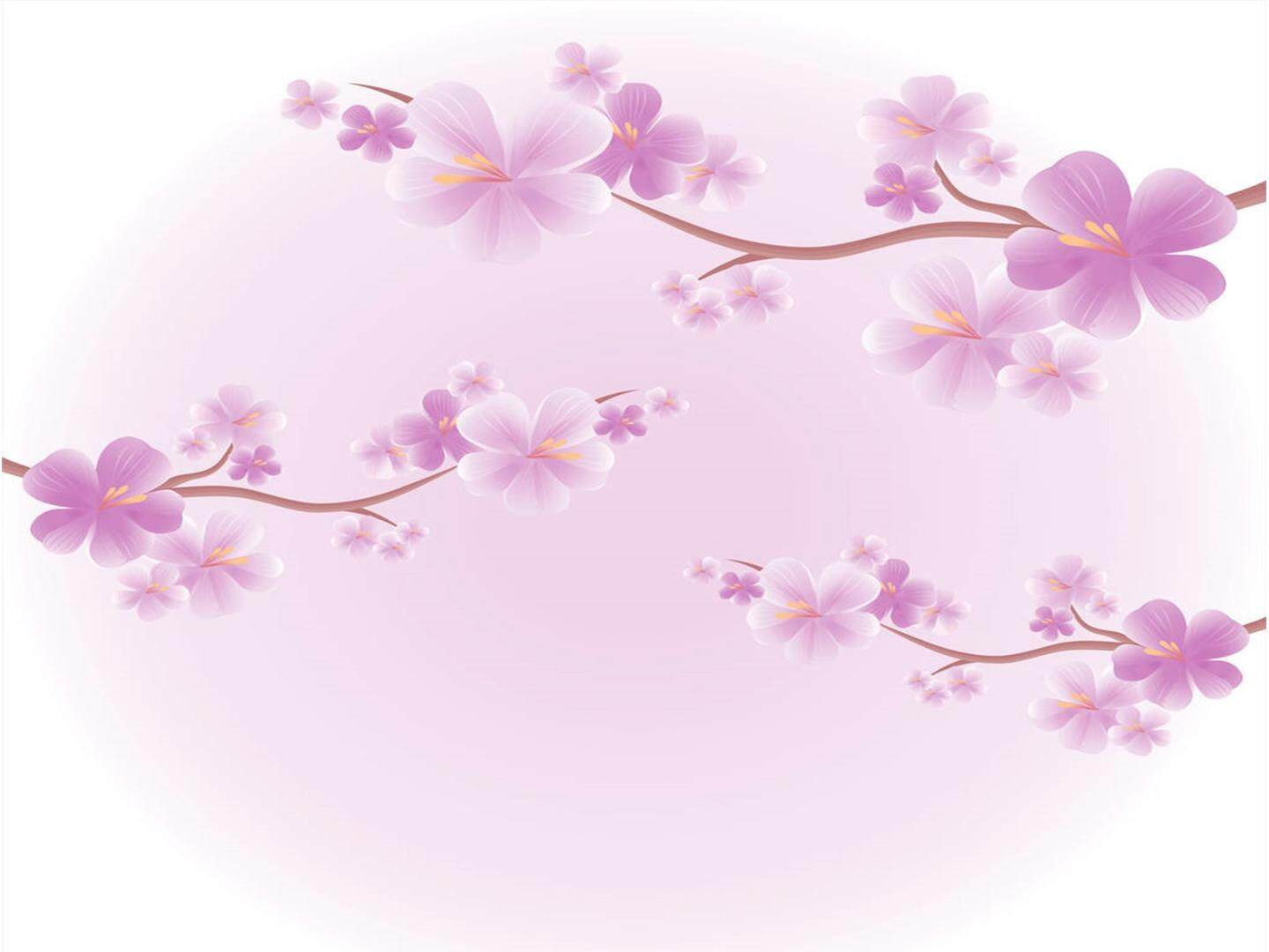 花的世界课件