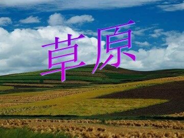 草原_课件1