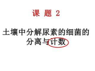 土壤中分解尿素的细菌的分离与计数