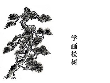 学画松树_课件1