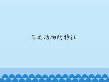 鸟类动物的特征_课件1