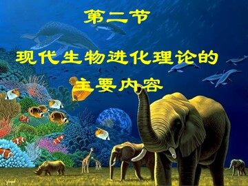 一  种群基因频率的改变与生物进化