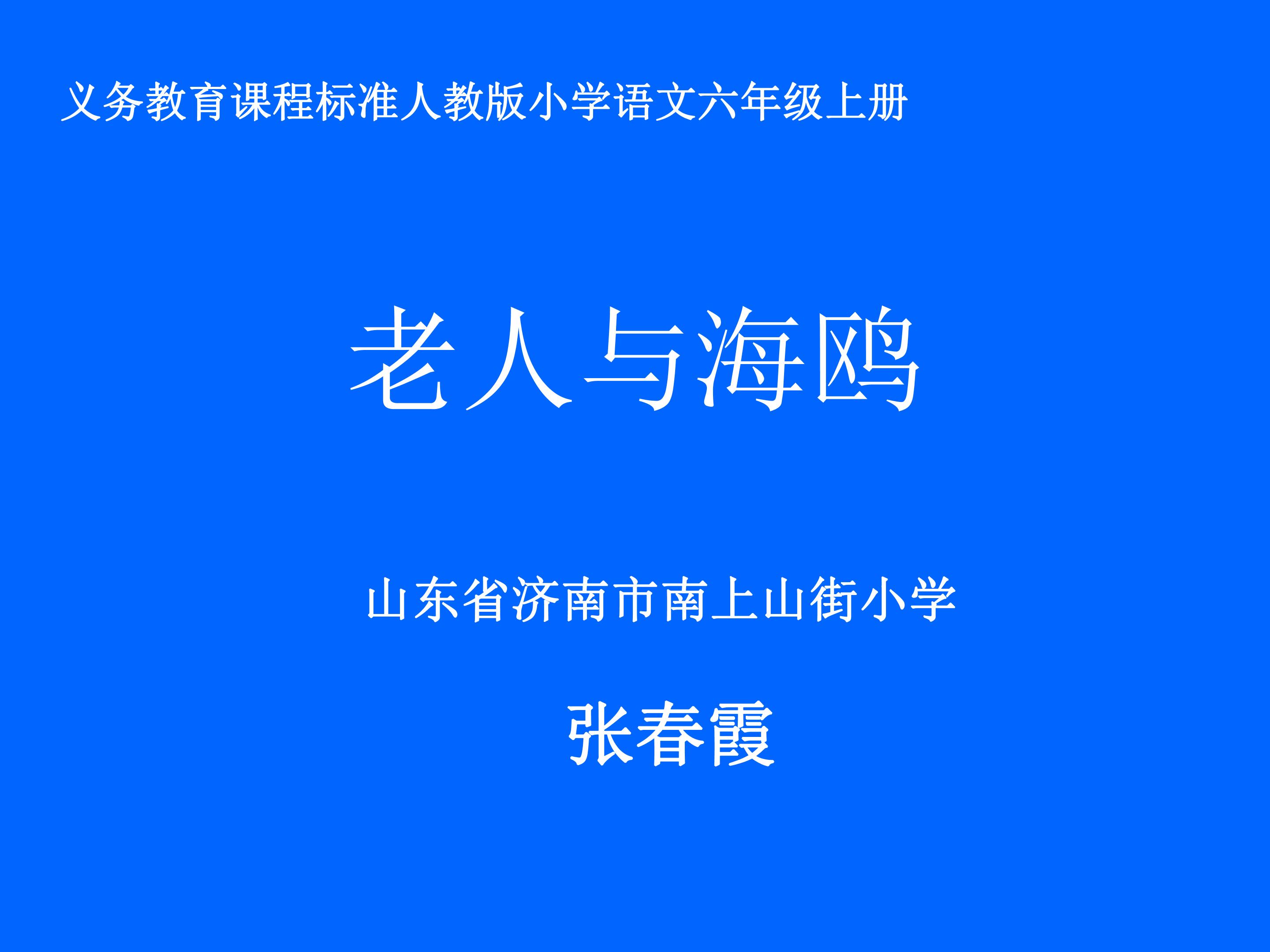 21　老人与海鸥