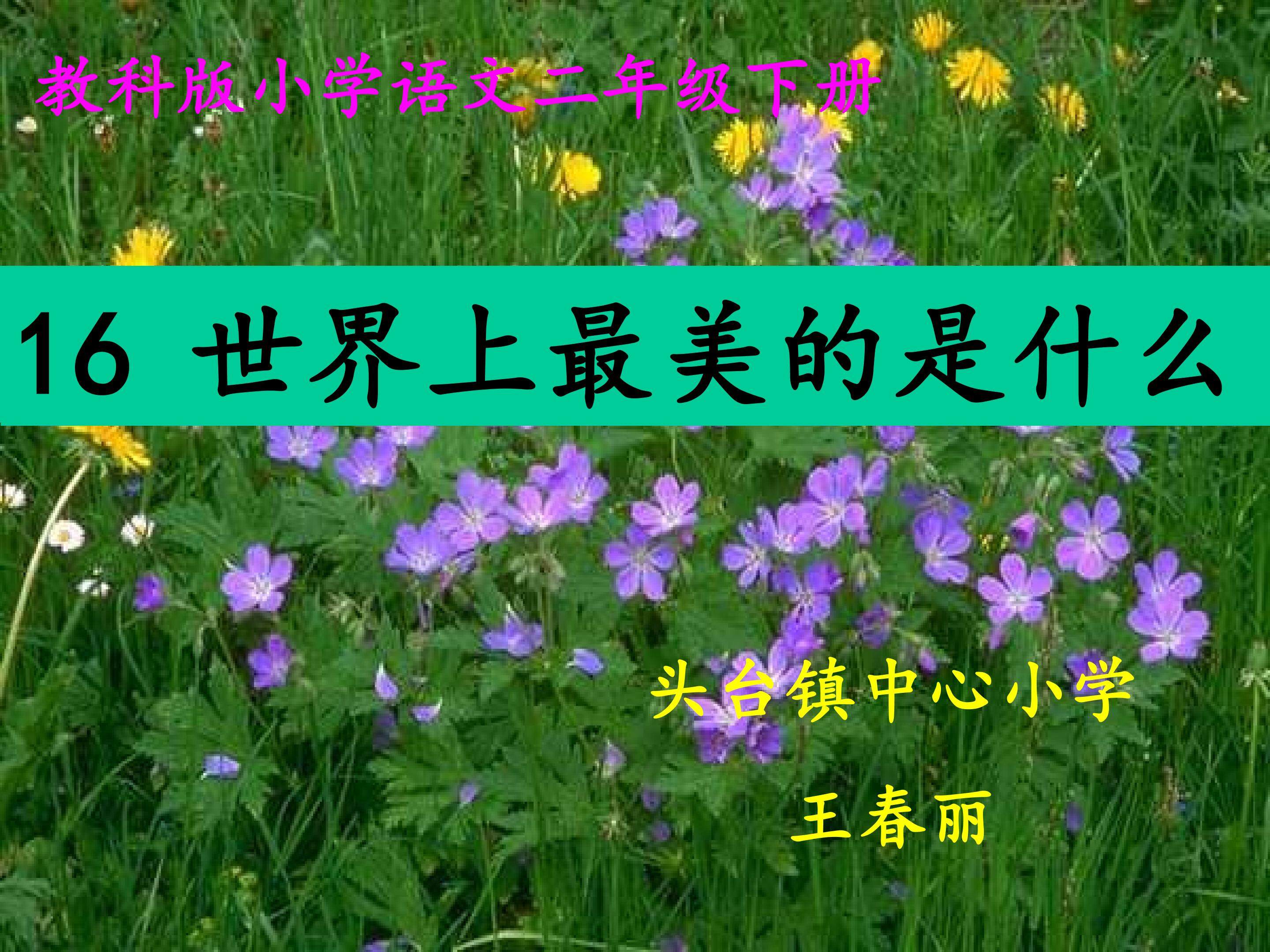 世界上最美的是什么