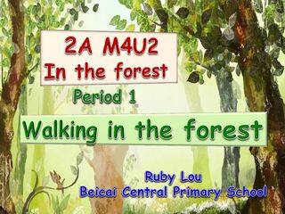 Walking in the forest