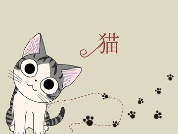 15 猫