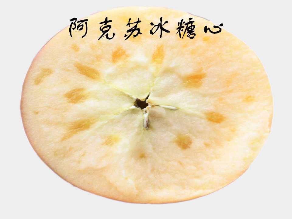 102.jpg