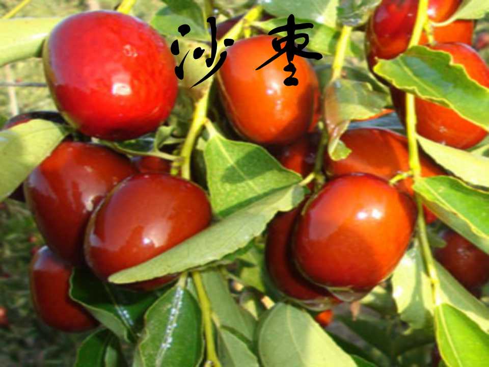 107.jpg