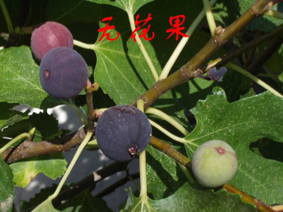 111.jpg