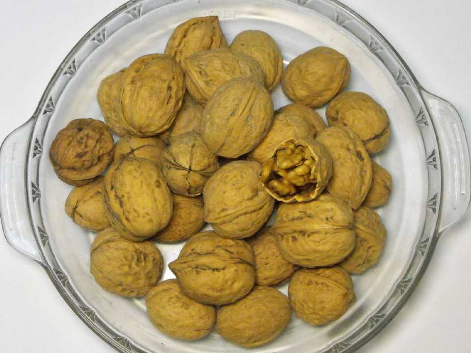 119.jpg