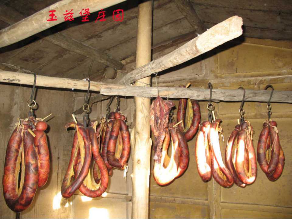 54.jpg