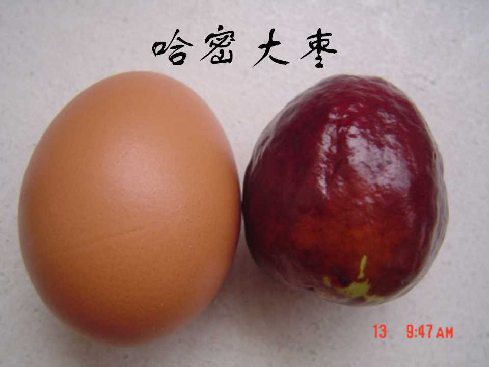 97.jpg