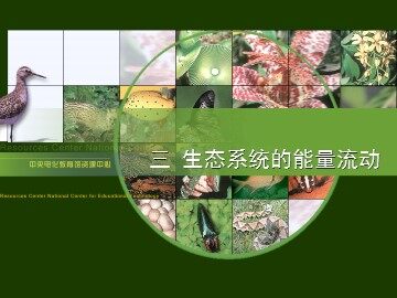 生物高中必修3第五章第二节课件1