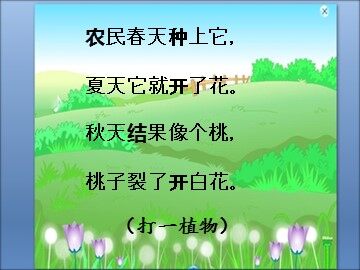 12  棉花姑娘