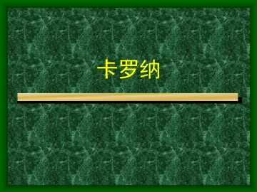 卡罗纳_课件2