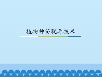 植物种苗脱毒技术_课件1