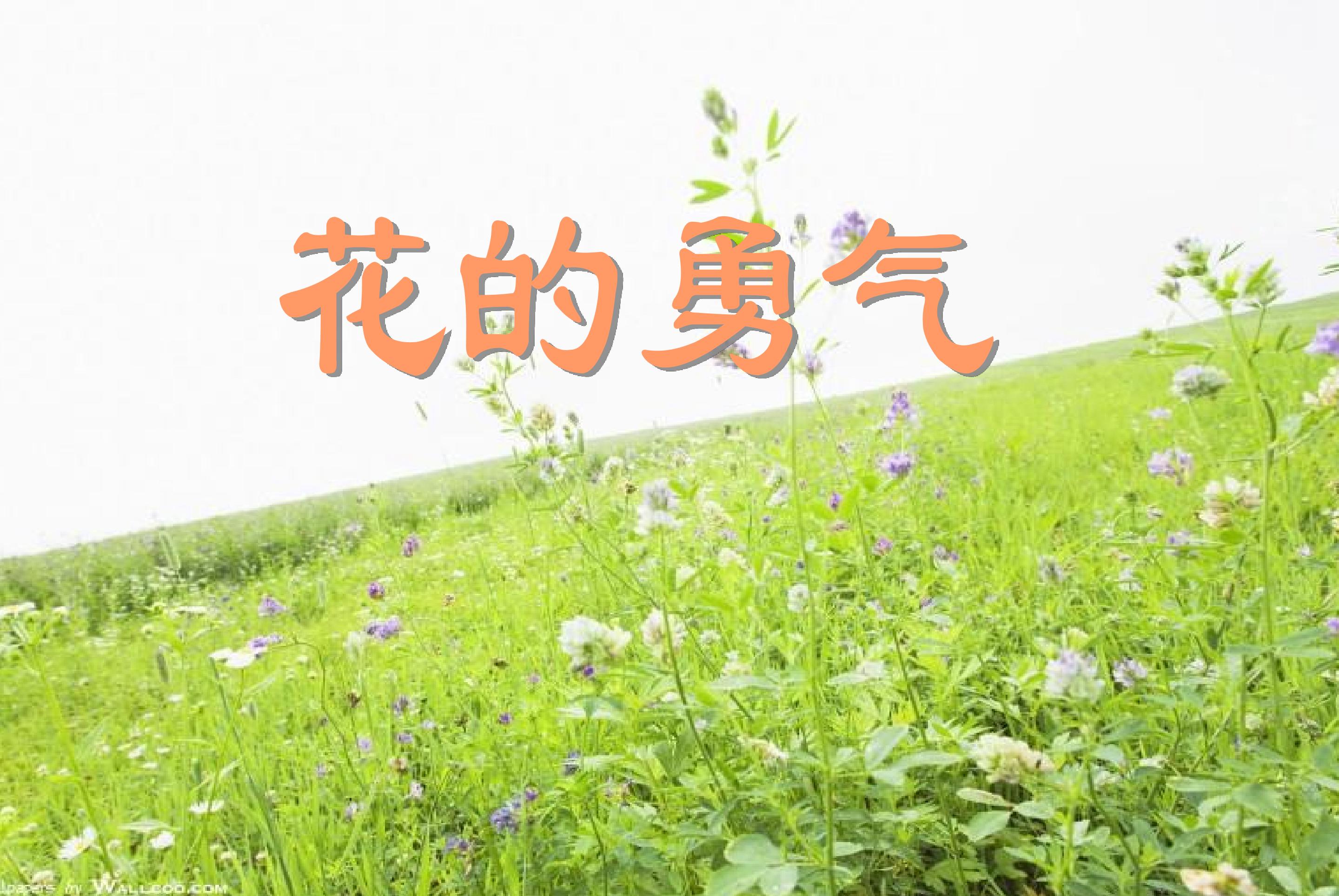 花的勇气