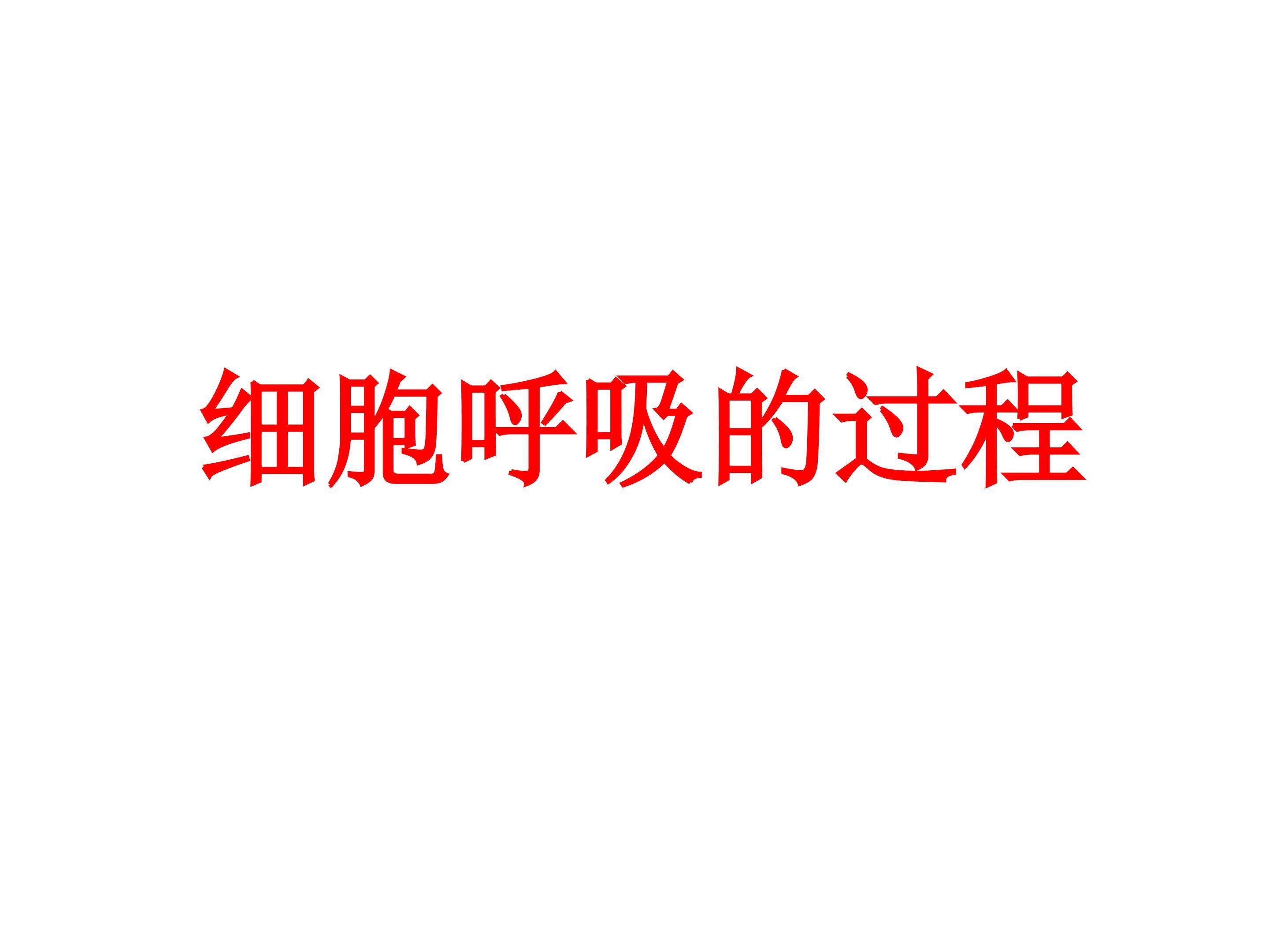 细胞呼吸的过程_课件1