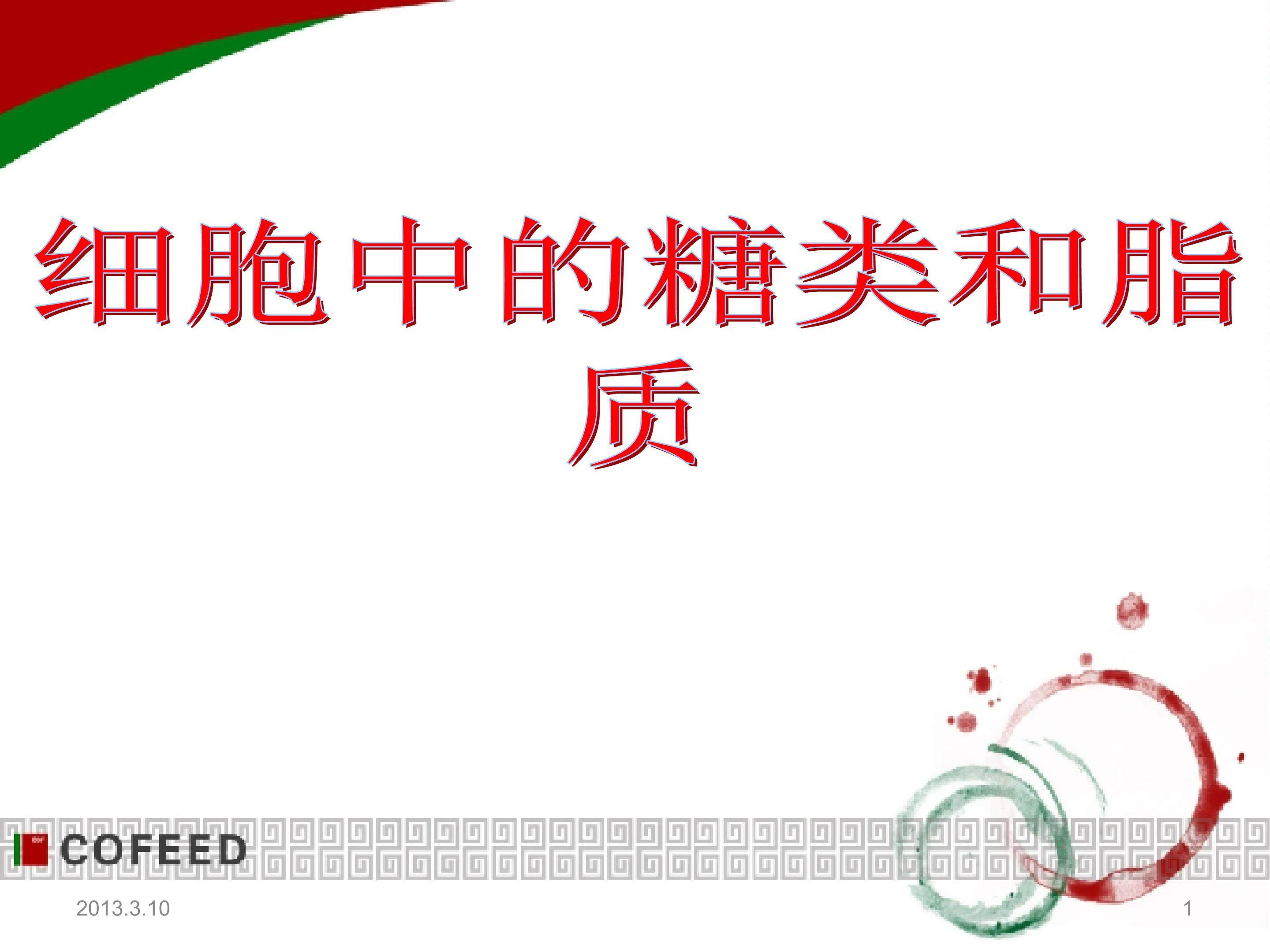 细胞中的糖类和脂质