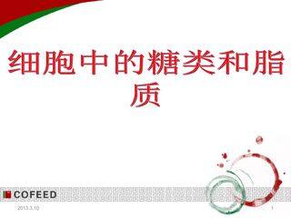 细胞中的糖类和脂质