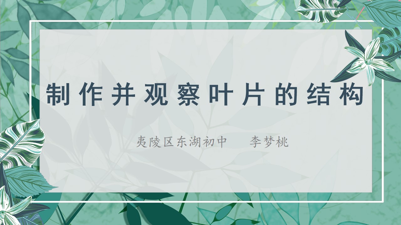 制作并观察叶片的装片