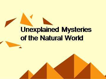 Unexplained Mysteries of the Natural World_课件1