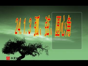 24.1.3 弧、弦、圆心角