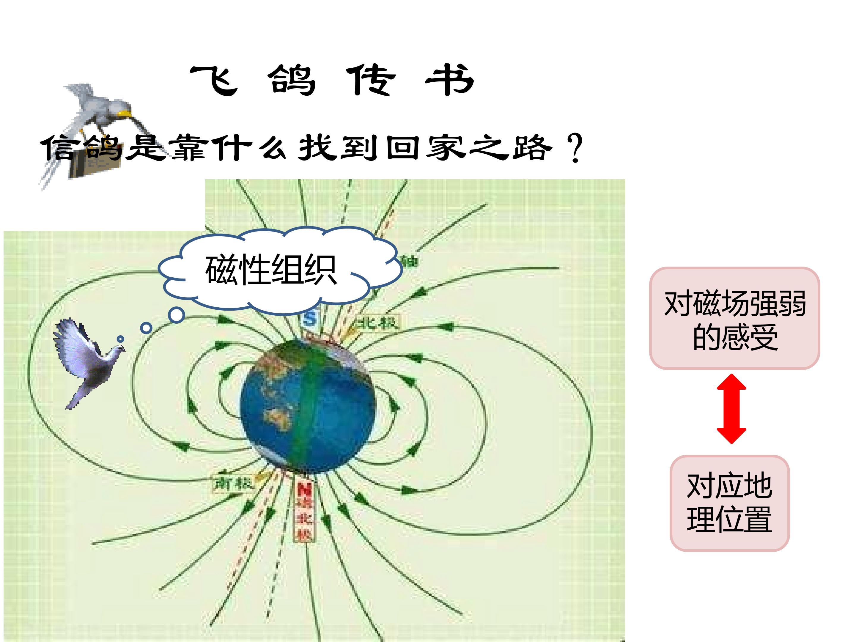 磁感应强度 磁通量