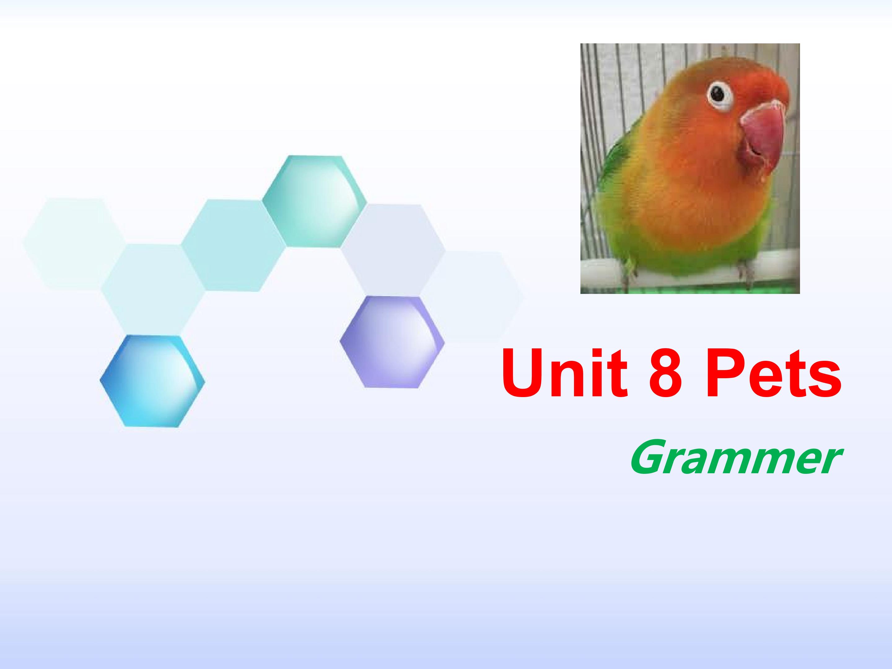 Unit 8 Pets Grammer