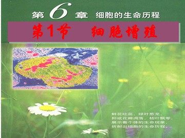 第1节  细胞的增殖