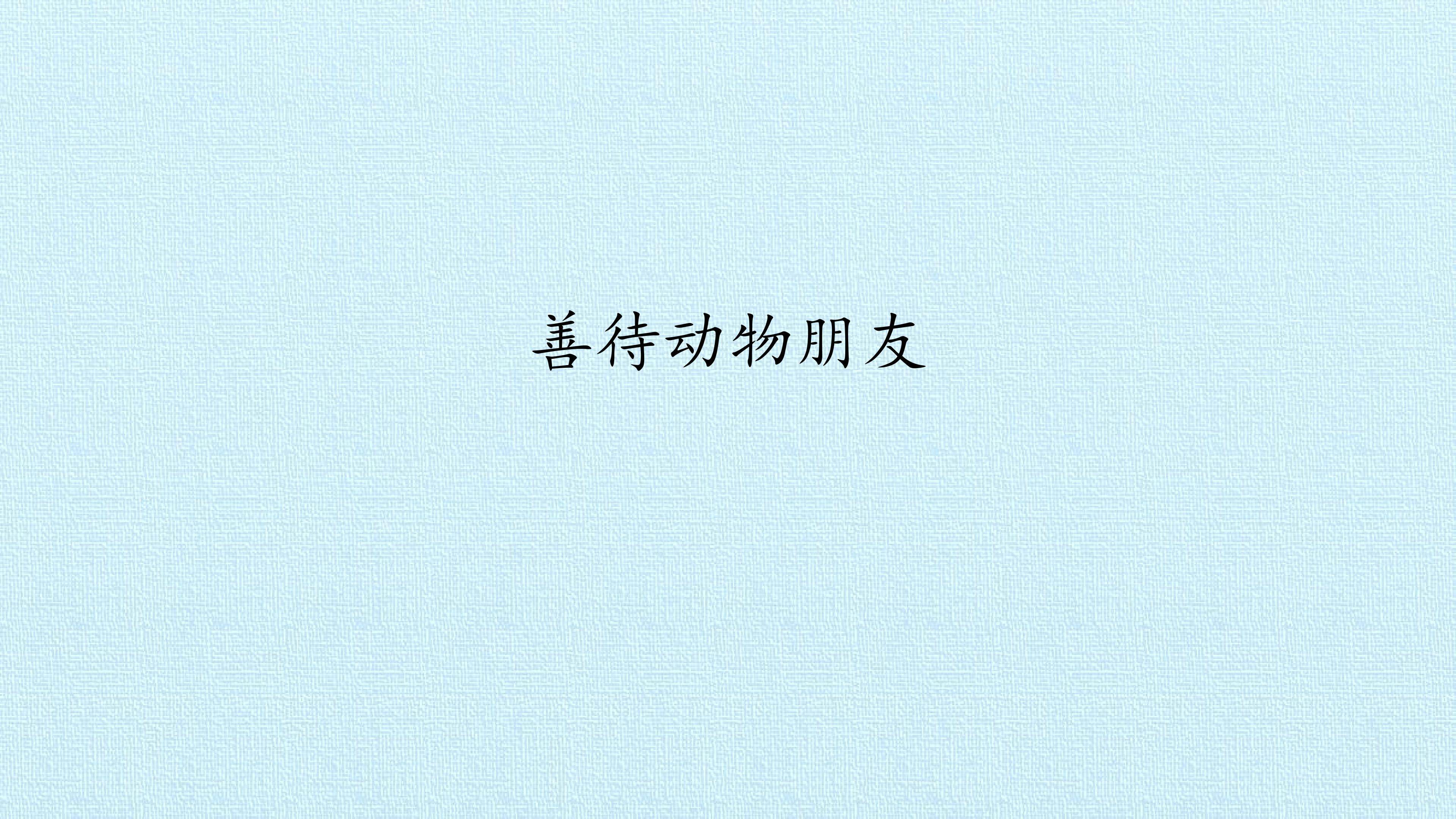 善待动物朋友