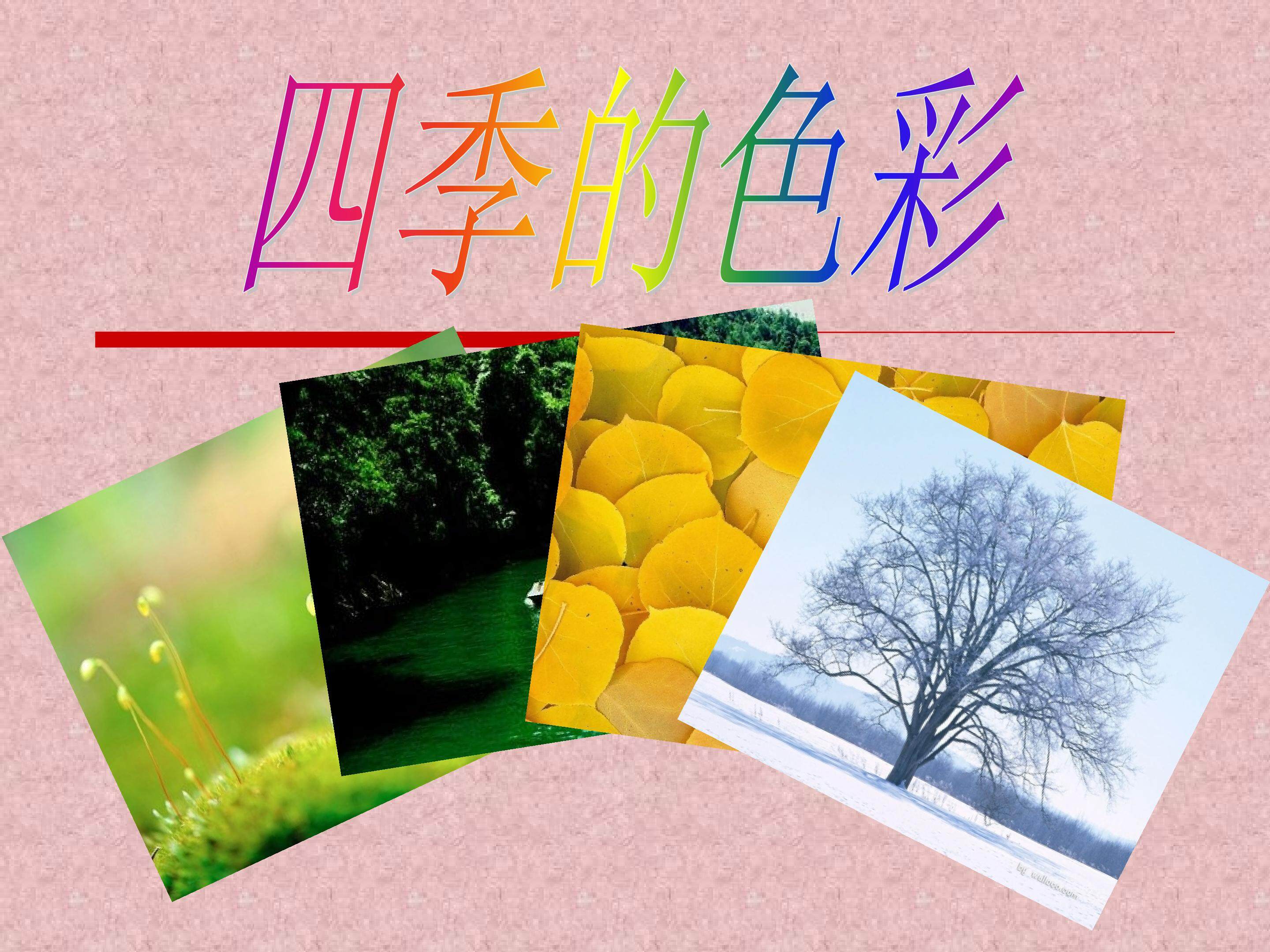 四级的色彩
