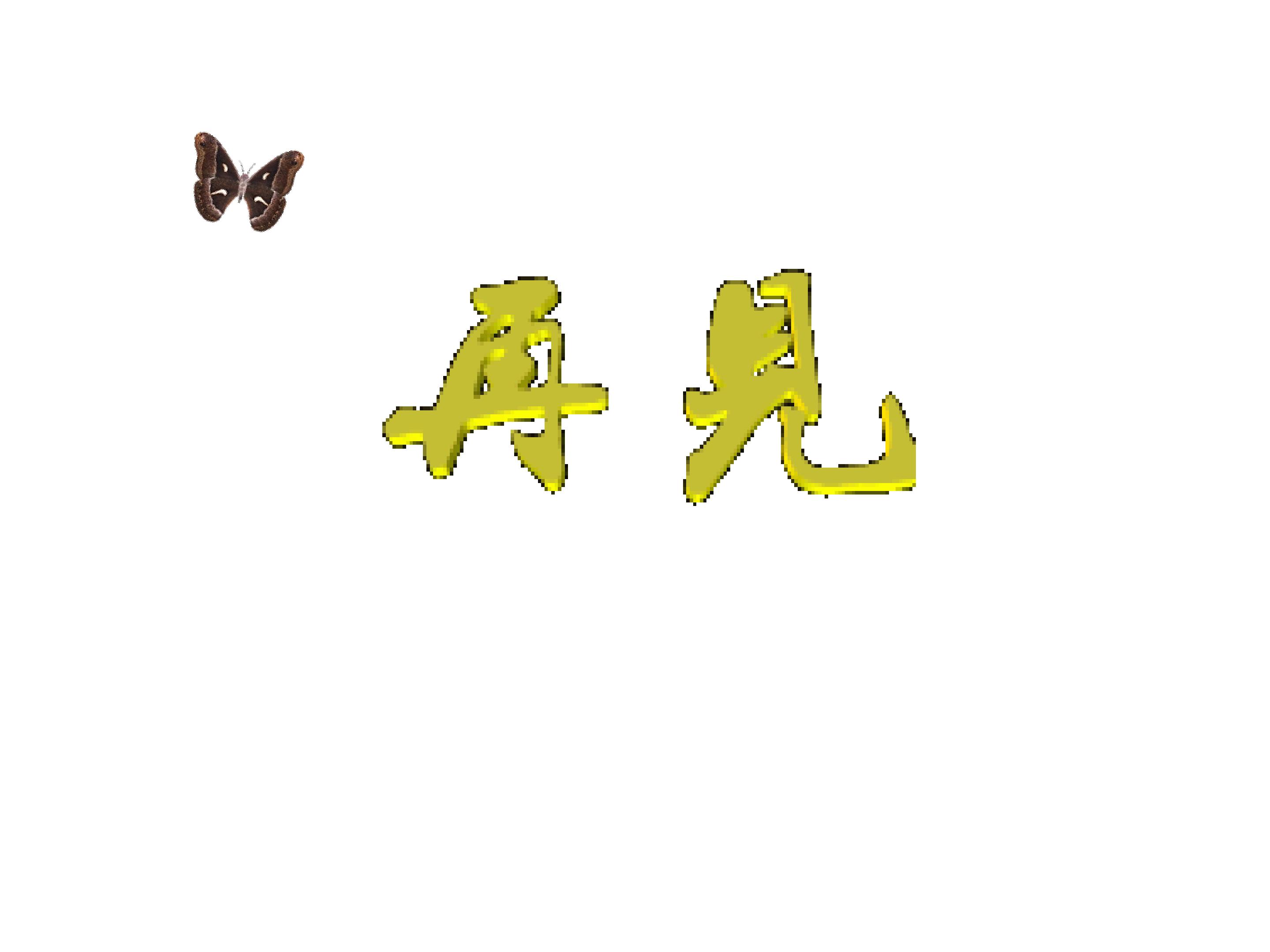 17.jpg