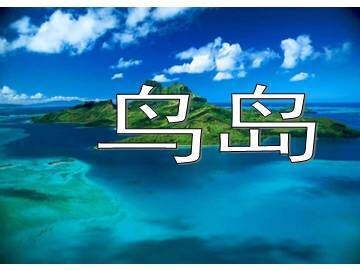 鸟岛_课件1