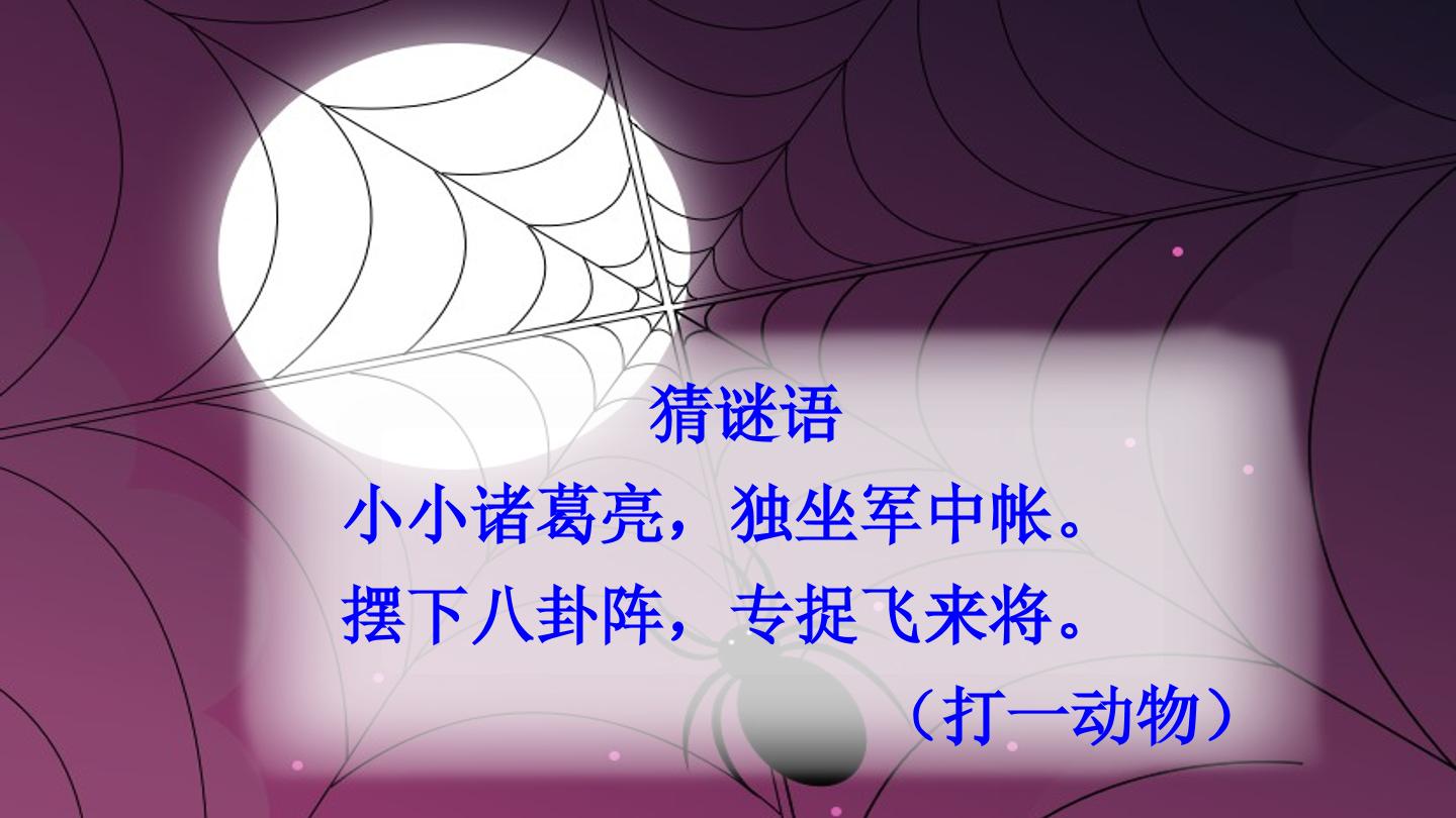 蜘蛛开店
