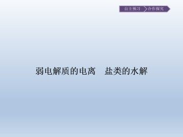 弱电解质的电离 盐类的水解_课件1