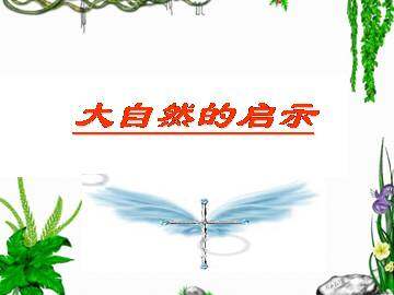 “打扫”森林_课件1