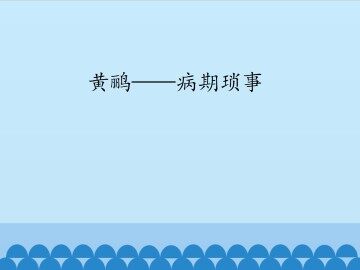 黄鹂——病期琐事_课件1