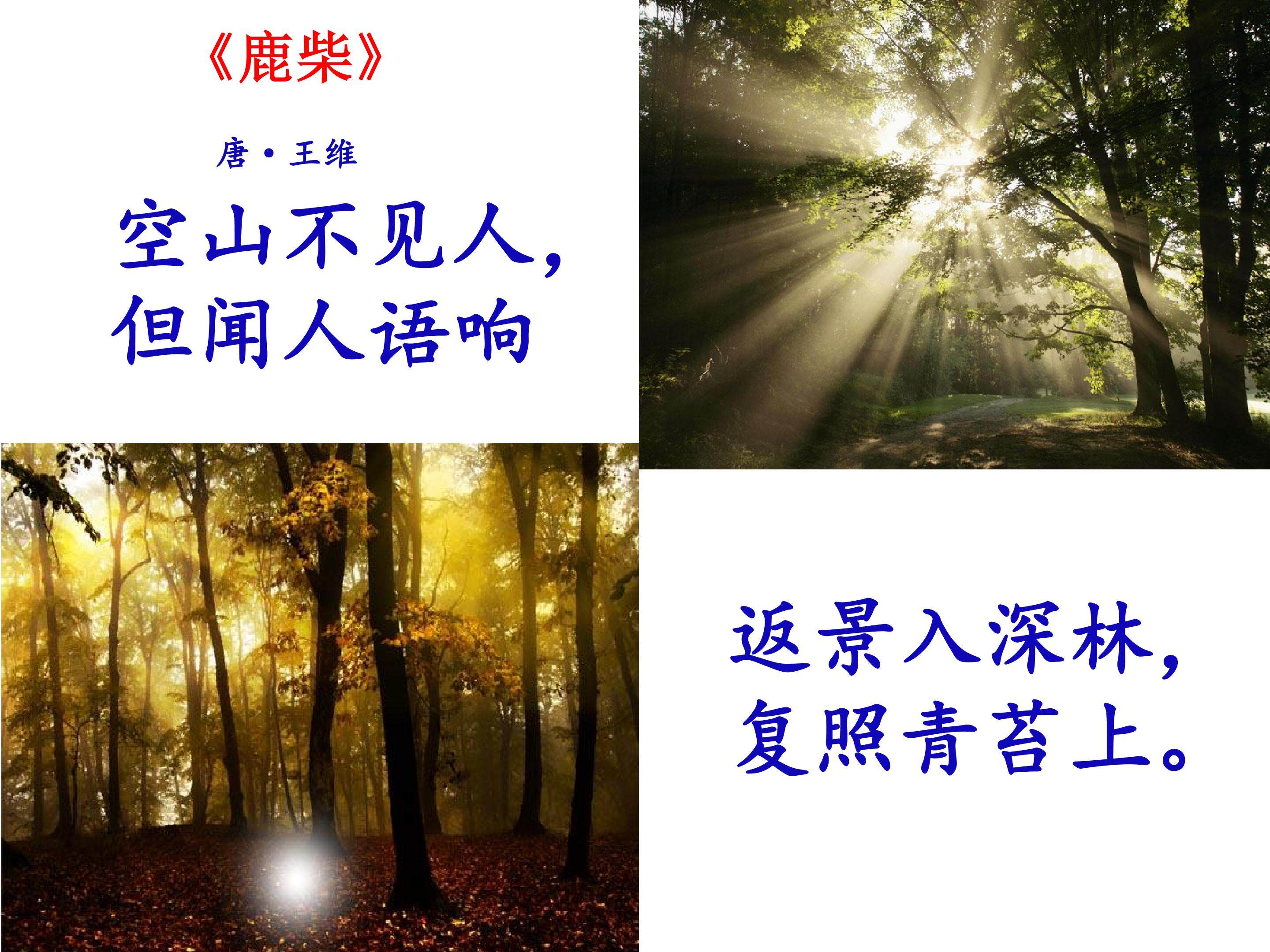 《光的衍射》
