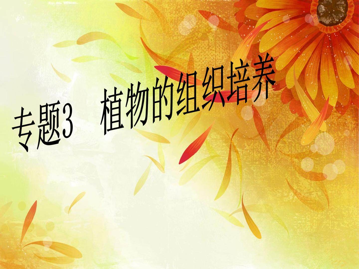 课题1　菊花的组织培养 